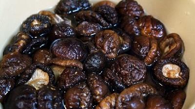 طرز تهیه مربای قارچ چگونه است