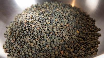 عدس برای چی خوب است