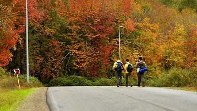 عکسی از پارک جنگلی النگدره گرگان