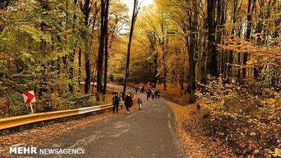 عکسی از پارک جنگلی النگدره گرگان