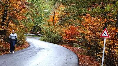 عکسی از پارک جنگلی النگدره گرگان