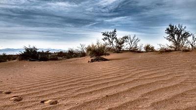 چگونه به کویر دق سرخ برویم