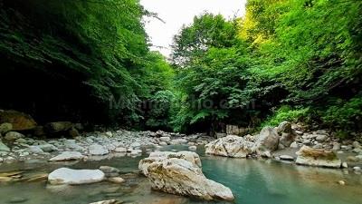 تنگه دار نوشهر مکان خوبی برای طبیعت گردی است