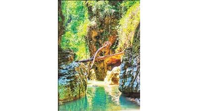 چگونه به تنگه دار نوشهر برویم