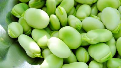 برای درست کردن خورشت باقالی سبز به چه موادی نیاز داریم