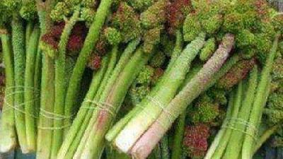 ریواس برای چی خوب است