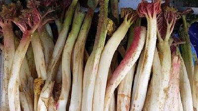 ریواس برای پوست و مو مفید است