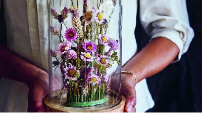 چگونه از گل خشک برای تزیین خانه استفاده کنیم