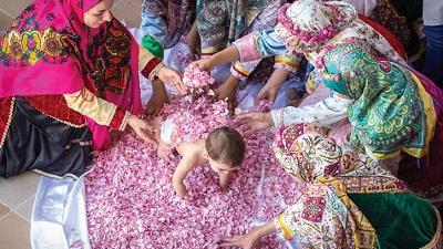 مراسم گلاب گیری در کدام شهرها برگزار می شود