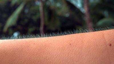 چه اتفاقاتی باعث سیخ شدن موی بدن می شود