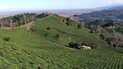 هلودشت در کدام شهر استان گیلان است