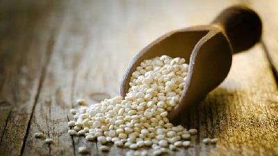 کینوا یکی از منابع پروتئین گیاهی است