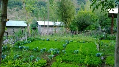 روستای دلیر چه دیدنی هایی دارد