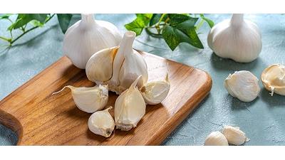 ترفندهایی برای پیشگیری از جوانه زدن و سبز شدن سیر