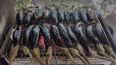 ترفندهایی برای کباب کردن بادمجان میرزاقاسمی