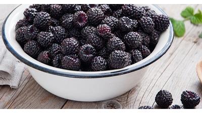 میوه تمشک برای دیابت بسیار مفید است