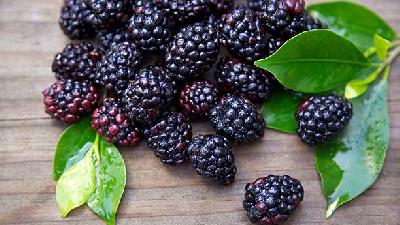 برای سلامت معده تمشک بخورید