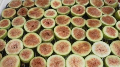 روش خشک کردن انجیر با فر چگونه است