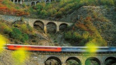 سه خط طلا در کجا قرار دارد