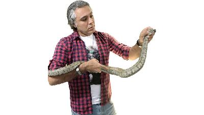 پرستار پیروز با حیوانات رابطه عجیب و غریبی دارد