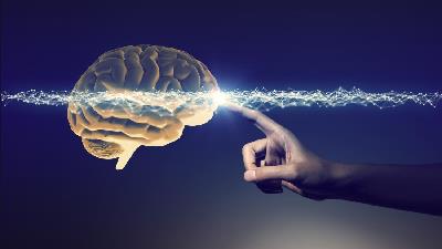 بیمار مرگ مغزی چه شرایطی دارد