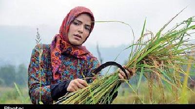 عکسی از سریال از یاد رفته