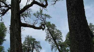 پارک خشکه داران کجای تنکابن است