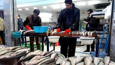 از بازارهای سنتی تنکابن خرید کنید