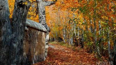 سفر به شهر خوانسار بسیار لذتبخش خواهد بود