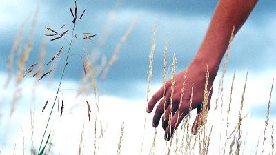 برای داشتن زندگی خوب باید 4 اصل را رعایت کنید