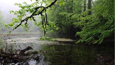 دریاچه فراخین یکی از بهترین جاذبه های گردشگری استان مازندران است