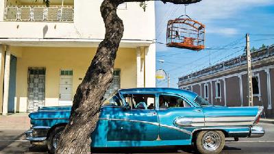 عکس برگزیده مسابقه سالانه حیات وحش