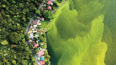 عکس برگزیده مسابقه سالانه حیات وحش