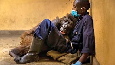 عکس برگزیده مسابقه سالانه حیات وحش