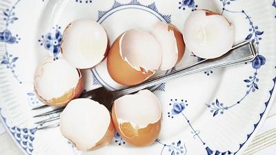 ضررهای مصرف پوست تخم مرغ چیست