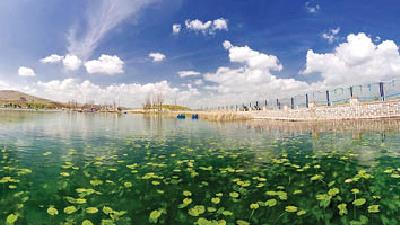 سراب نیلوفر از دیدنی های کرمانشاه است