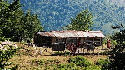 دشت کوه روبار از دیدنی های ماسوله در استان گیلان است