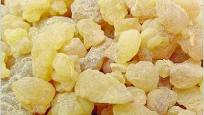 خاصیت های سقز در طب سنتی چیست