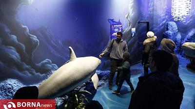 اقیانوس پارک تهران چه دیدنی هایی دارد