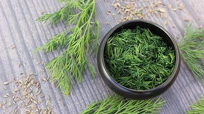 تخم شوید بسیار پر خاصیت است