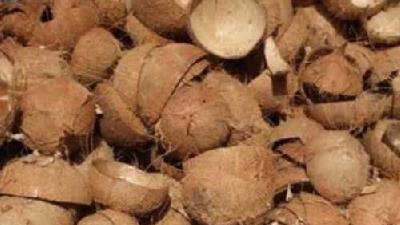 پوست نارگیل را چطوری راحت جدا کنیم