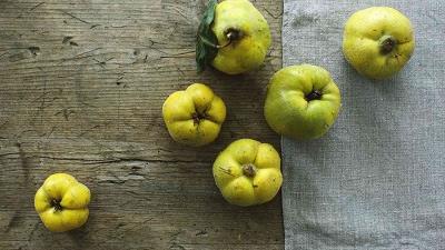 شیوه خشک کردن میوه به را یاد بگیرید