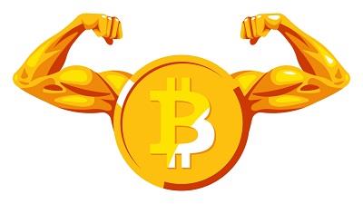 دامیننس بیت کوین چیست و از کجا آن را بررسی کنیم