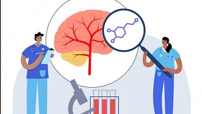 برای ترشح بیشتر هورمون دوپامین در مغز چه کار کنیم