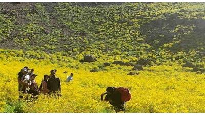 دریاچه کوه گل چه دیدنی هایی دارد