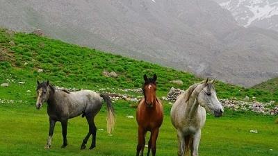 چگونه به دریاچه کوه گل سی سخت برویم