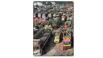 جواب معمای تصویری