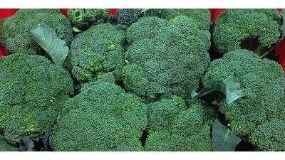 کلم بروکلی برای چی خوب است