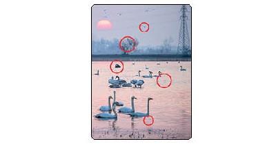 جواب معمای اختلاف تصاویر