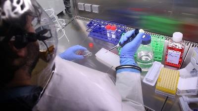 آیا بیماری ماربورگ کشنده است